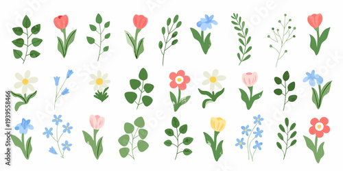 Collection of colorful floral illustrations with various flower types and leaves