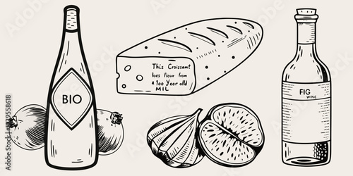 Sketch of wine bottles bread figs and cheese in a vintage style