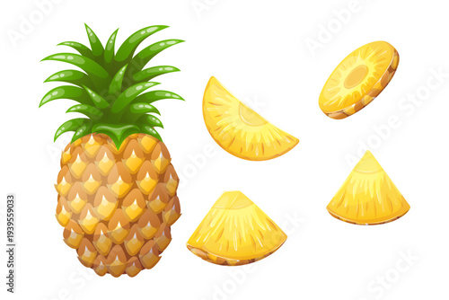 A set of vector images of a whole pineapple and its slices
