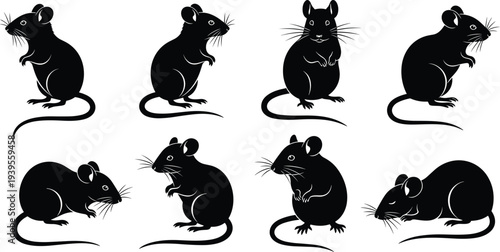 Mouse silhouettes collection vector illustration, black and white rats in different poses isolated on white rodent wildlife set