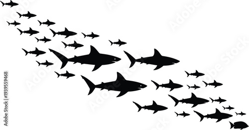 Shark silhouettes swimming group, black and white vector illustration of ocean predators school isolated on white marine wildlife background