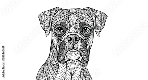 Boxer Dog Zentangle Portrait - Adult Coloring Page