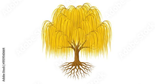 Golden Willow Tree with Visible Roots, Isolated on White Background