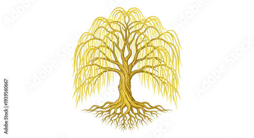 Golden Weeping Willow Tree with Visible Roots on White Background