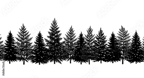 Seamless Silhouette Evergreen Forest Border