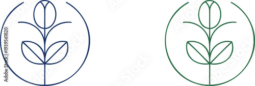 Blue and green plant in circles leaf