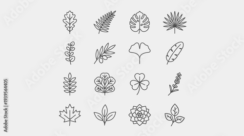 Botanical Art: Exquisite, minimalist line drawings of diverse leaves, a testament to the artistry found in nature.
