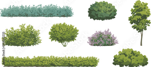 Green bushes and shrubs vector collection with garden plants and small tree isolated on white background for landscape design