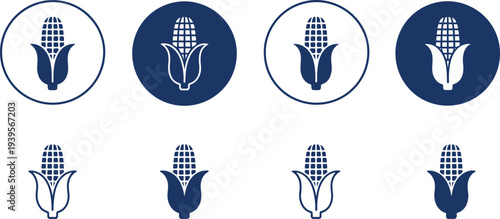 Corn cob in blue and white food agriculture