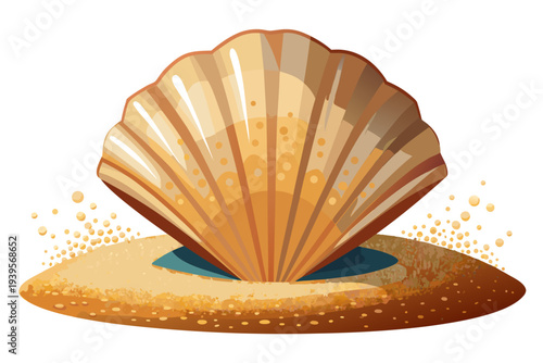 Open seashell with pearlescent interior on a sandy surface against white background