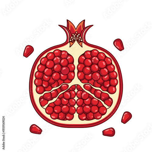 Illustration of a fresh pomegranate cut in half with juicy seeds and isolated on white background
