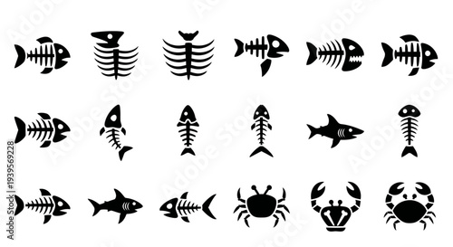 Assorted Marine Animal Skeletons and Silhouettes.