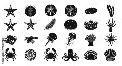Black Silhouette Illustrations of Various Sea Creatures.