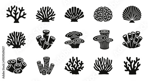 Collection of Simple Black Coral Illustrations.