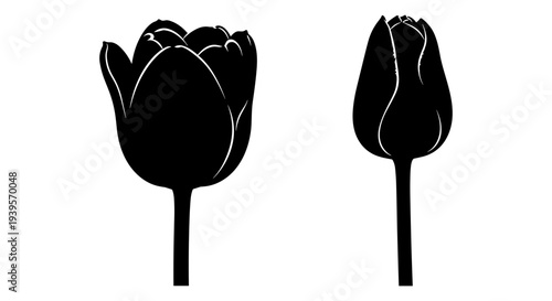 Wallpaper Mural Black Silhouette Tulip Flower Vector Set: Elegant Botanical Outline Graphics for Spring, Garden, Nature, and Floral Design Projects Torontodigital.ca