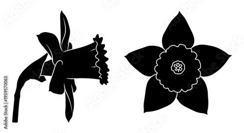 Wallpaper Mural Elegant Black Silhouette Daffodil Flower Vector Set for Spring Floral Designs, Nature Graphics, and Botanical Illustrations Torontodigital.ca