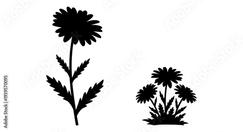 Wallpaper Mural Black silhouette vector illustration of a single tall dandelion flower with leaves and a small cluster of three dandelion plants, isolated on a white background Torontodigital.ca