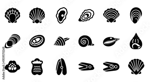 Collection of Various Black Shell Illustrations.