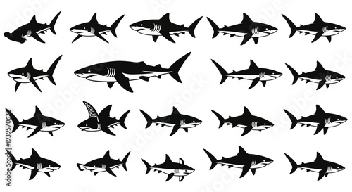 Collection of Various Shark Silhouettes.