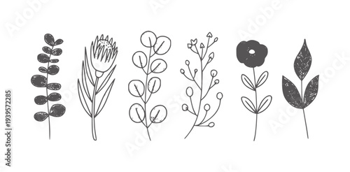 Six minimalist line botanical with textured fills plant leaf flower stem