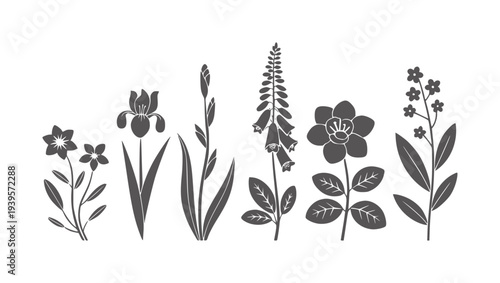 Six different dark grey botanical silhouettes white flower