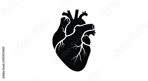 Anatomical heart depiction in a stark black silhouette