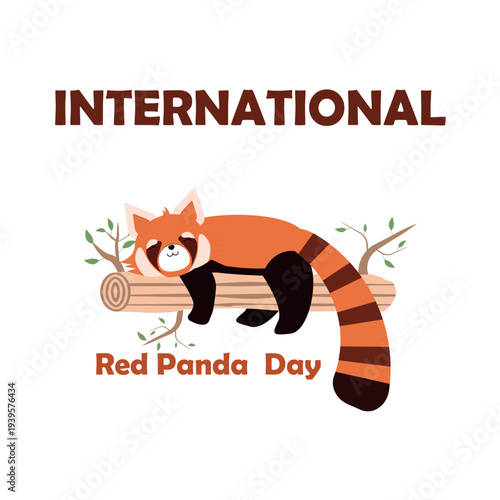 Illustration for International Red Panda Day.