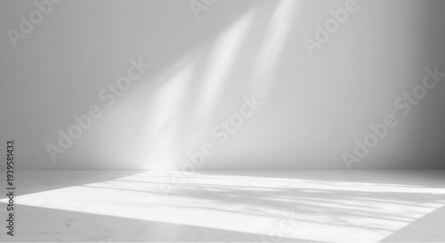 Bright sunlight streaming through empty room with white walls