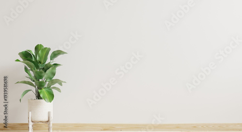 Green potted plant on wooden stand against white wall