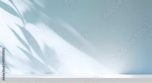 Serene minimalist interior with natural light and leaf shadows