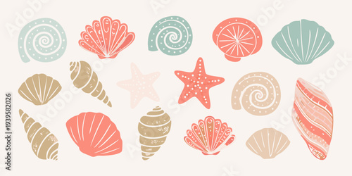 Colorful illustration of various seashells starfish and spiral marine life