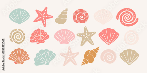 Collection of colorful seashells and starfish in a decorative arrangement