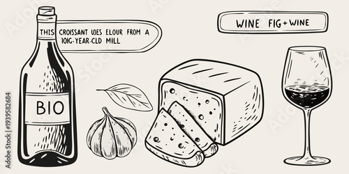 A sketch depicting wine a croissant bread figs and garlic