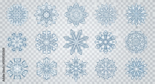Collection of Various Snowflakes with Unique Patterns.