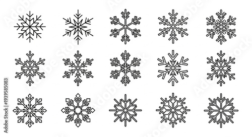 Collection of Snowflake Patterns with Unique Designs.