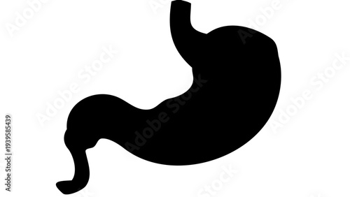 Human Stomach Black Silhouette PNG, Digestive Organ Icon