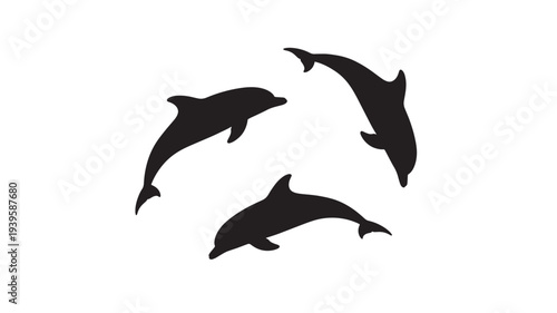 Dolphins in a circular formation with black silhouettes jumping and playing gracefully in water. featuring silhouette, playful, ocean with sea and