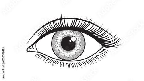 Eye black and white illustration with detailed iris and eyelashes, graphic design element. featuring pupil, symbol, vision with seeing and