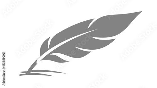 Elegant stylized grey feather icon with shadow, representing writing, creativity, or lightness. Simple graphic design element.