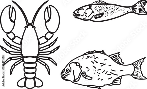 A black and white illustration depicts a lobster and two different types of fish showcasing marine life in a simple style