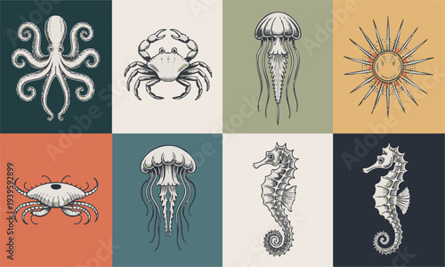 Marine Animals Scientific Illustration Vintage Style