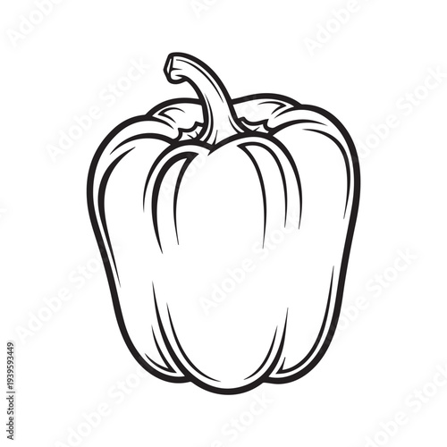 Bell Pepper Outline Drawing Simple Vegetable Icon Healthy Food Concept Minimalist Stock Graphic