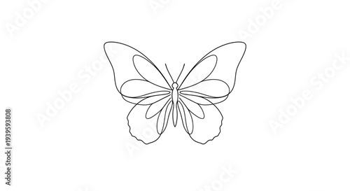 Butterfly outline drawing insect wings.