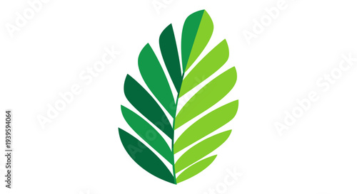 Green leaf with multiple segments.