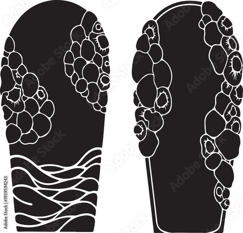 Vector silhouettes of two organic, barnacle-covered forms. Graphic design with ocean waves, for transparent backgrounds, marine textures
