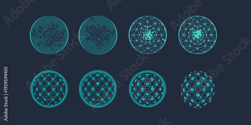 Abstract geometric shapes evolving from complex networks to defined forms