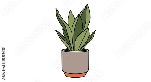 Potted plant with green leaves indoors.