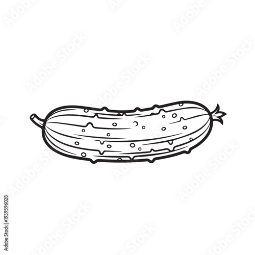 Cucumber Line Art Vector Illustration Fresh Vegetable Outline Simple Food Icon