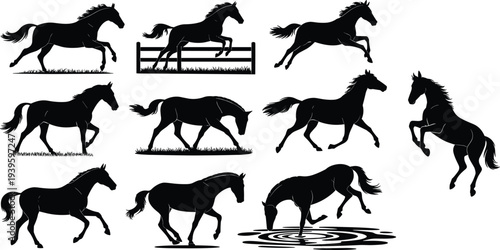 Black silhouette collection of horses and stallions running jumping and galloping isolated on white background, vector illustration for equestrian sports nature and wild animal ranch design projects.
