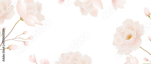 Pastel Pink Flower With White Background
